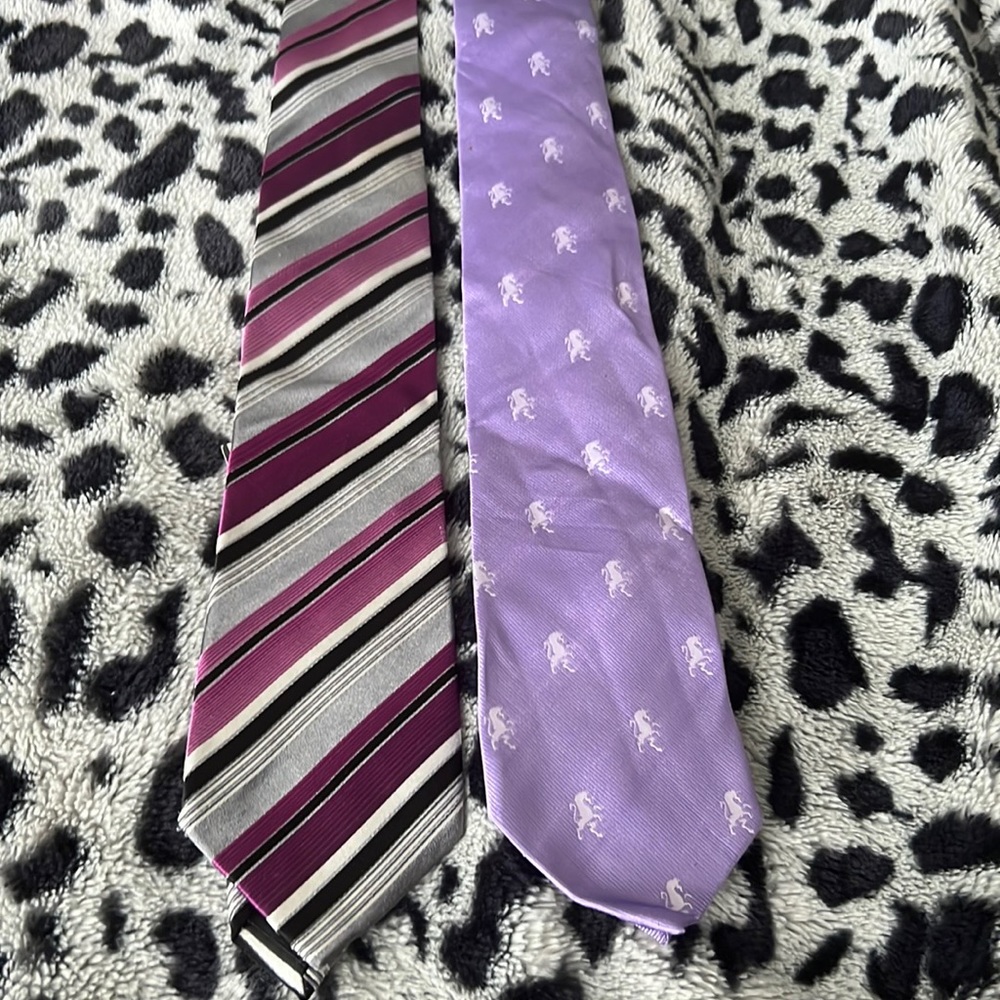Men’s Purple Ties - Stafford and Alfani